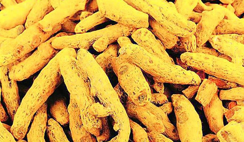 Dry Turmeric