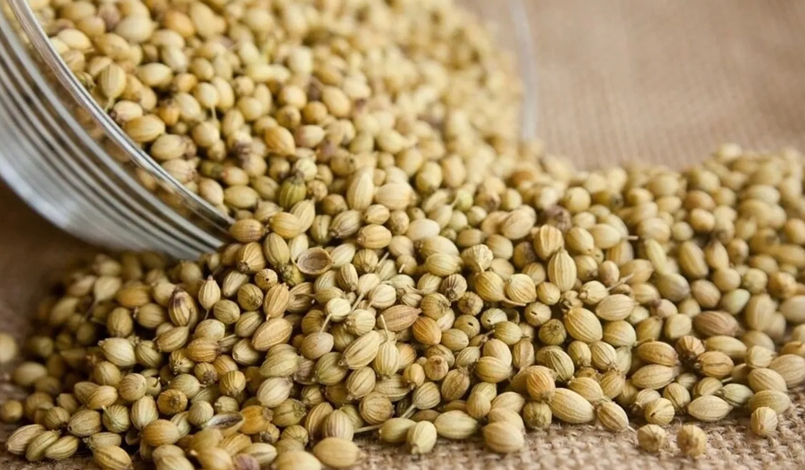 Whole Coriander