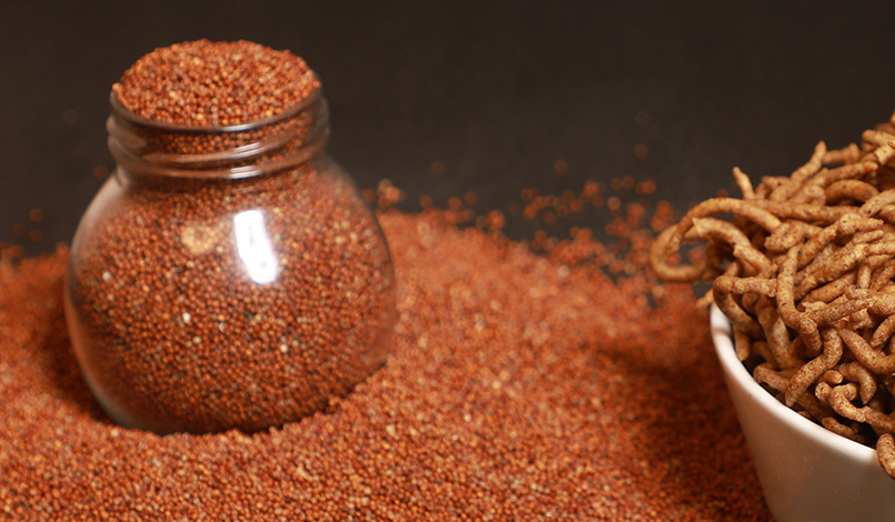 Whole Finger Millet (Ragi)