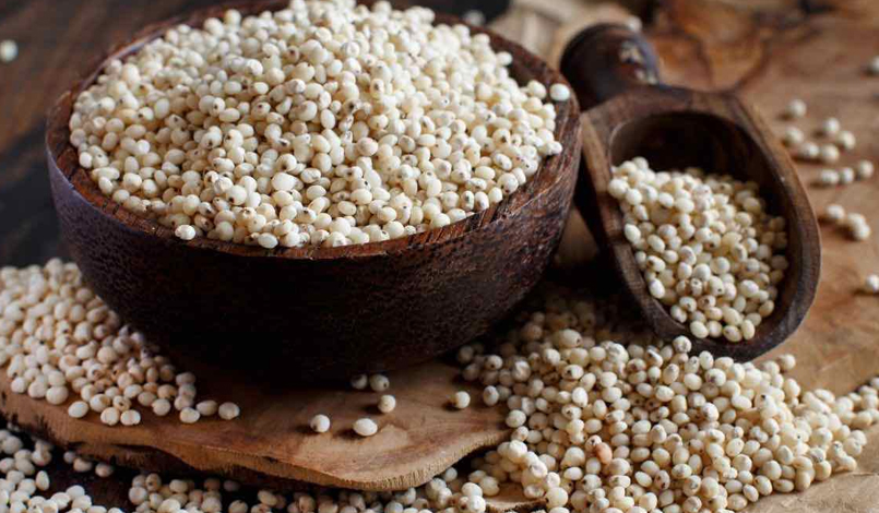 Jowar (Sorghum)