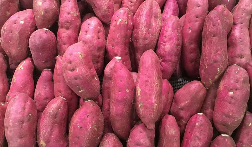 Sweet Potato