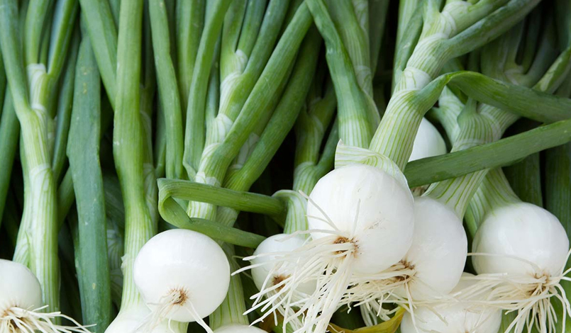 Spring Onions